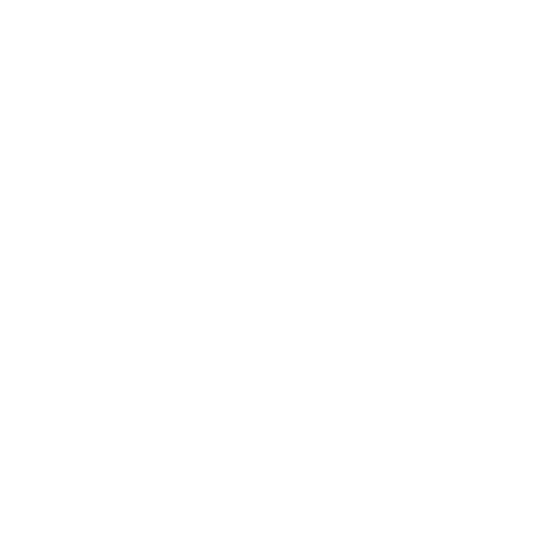 Phoenix IntSport